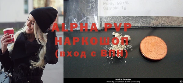 индика Новозыбков