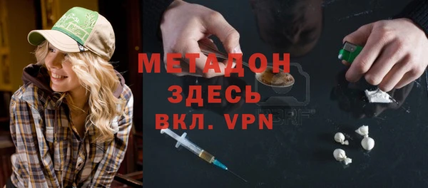 индика Новозыбков