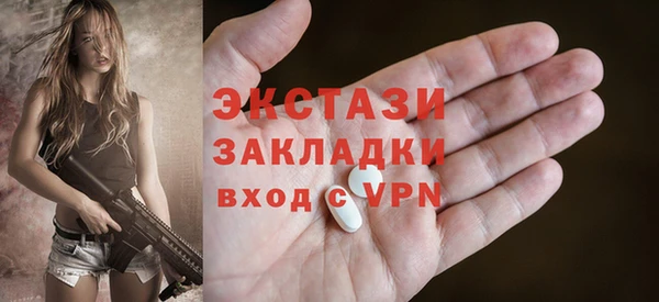 индика Новозыбков