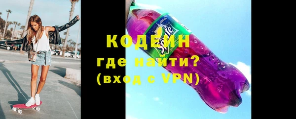 индика Новозыбков