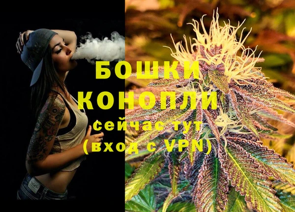 ECSTASY Няндома