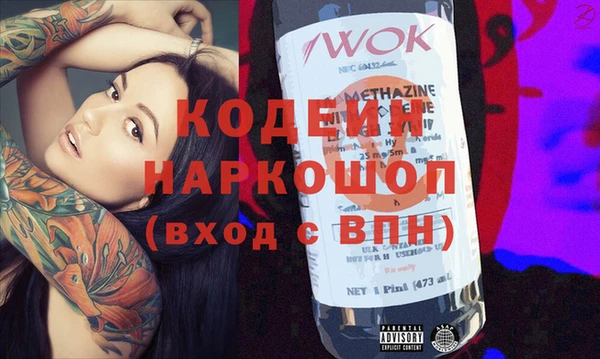 индика Новозыбков