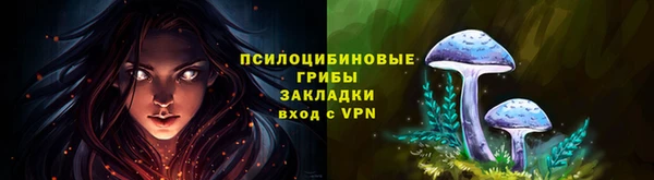 синтетический гашиш Новодвинск