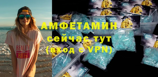 индика Новозыбков