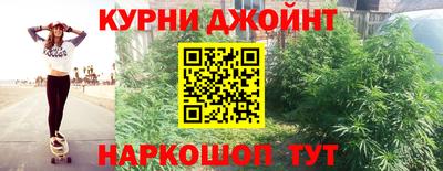 2c-b Кингисепп