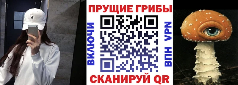 OMG рабочий сайт Котовск Псилоцибиновые грибы Psilocybine cubensis