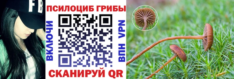Псилоцибиновые грибы мицелий Котовск