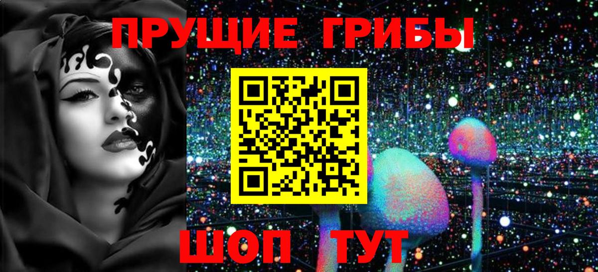Псилоцибиновые грибы прущие грибы  Вход с VPN  Котовск 