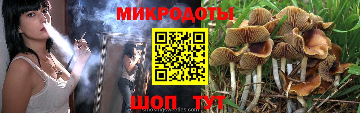 Галлюциногенные грибы Cubensis Котовск